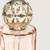 POMELIS Beige Gift Set by Maison Berger