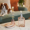 BLUSH & Spice Caree Lampe Winter Joy Gift Set by Maison Berger