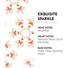 Festive Rosalie Trio Pack Sampler Sizes - Lampe Maison Berger Fragrance - 750 Ml
