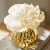 Peony Gold Diffuser Fragranced with Sweet Grace