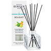 RADIANT BERGAMONT Reed Bouquet Diffuser by Parfum Lampe Berger