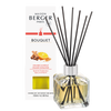 ORANGE CINNAMON Reed Bouquet Diffuser by Parfum Lampe Berger