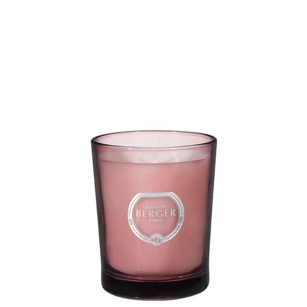 BLACK ANGELICA Candle By Maison Berger - SALE