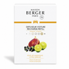 CITRUS BREEZE Car Fragrance Refill - Set of 2 Discs by Maison Berger