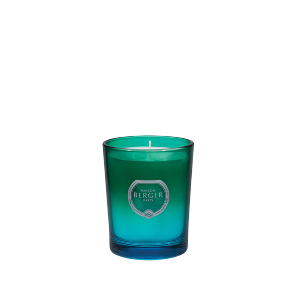 ZEST OF VERBENA Candle By Maison Berger - SALE