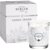 Christmas Cookies (Milk & Cookies) Candle by Maison Berger - SALE