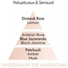 Underneath the Magnolias - Lampe Maison Berger Fragrance - 1 Litre